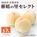 21位! 口コミ数「0件」評価「0」桃 2024年 先行予約 稚媛の里 セレクト 白桃 5～7玉 合計約1.2kg もも 桃 岡山県 赤磐市産 フルーツ 果物 ギフト　【果物・･･･ 