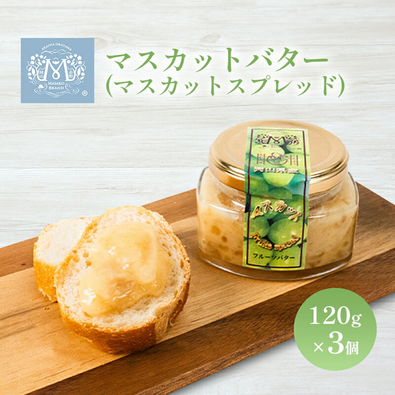 【ふるさと納税】マスカット バター （ マスカット スプレッド ）120g×3個 乳製品 果物 ぶどう フルーツ　【バター 果物類 ぶどう マスカット フルーツ マスカットバター】