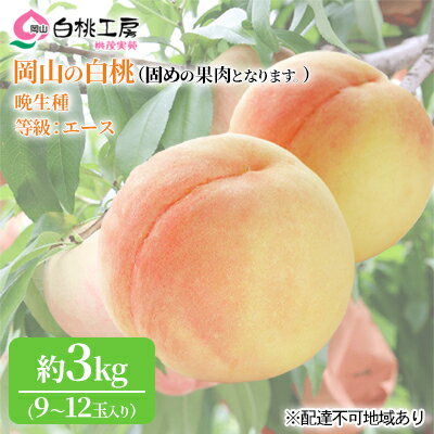 【ふるさと納税】固めの 桃 2025年 先行予約 白桃 晩生種 3kg 9~12玉 もも モモ 岡山 国産 フルーツ 果物 ギフト 桃茂実苑 お届け:2025年8月下旬~2025年9月中旬