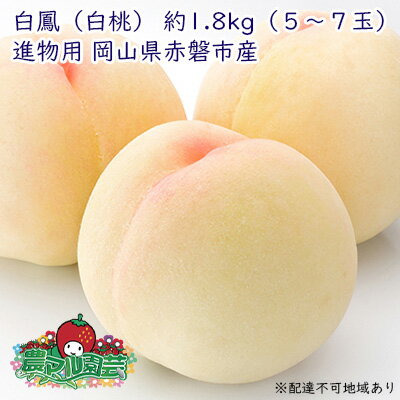 桃 2024年 先行予約 白桃 白鳳 約1.8kg 5～7玉 進物用 もも モモ フルーツ 果物 岡山 赤磐市産 農マル園芸 あかいわ農園　【果物 もも 桃 フルーツ 白鳳 】　お届け：2024年7月上旬～2024年7月下旬