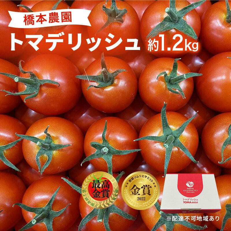 フルーツ トマト [2024年先行予約] トマデリッシュ 約1.2kg 橋本農園 岡山 [ 野菜 高糖度 旨味 弾力 果実 甘い 旨味 サラダ そのまま 岡山県産 緑黄色野菜 ] お届け:2024年2月上旬〜2024年5月下旬