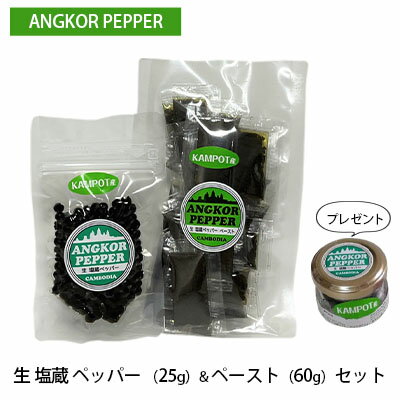 アンコール ペッパー 生 塩蔵 (25g)& ペースト (60g) セット ★ プレゼント 付き★ 胡椒 スパイス 調味料 カンポット産 [ 調味料 香りが良い 無農薬 若い実 塩漬け お酒 つまみ ペースト状 調味料 アクセント ]