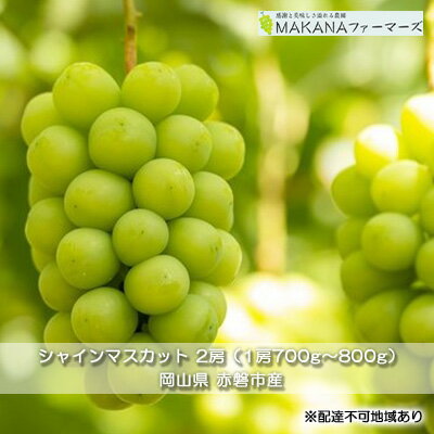 54位! 口コミ数「0件」評価「0」ぶどう 2024年 先行予約 シャイン マスカット 2房 （1房700g～800g） 大粒 種無し ブドウ 葡萄 岡山県 赤磐市産 国産 フ･･･ 