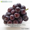 10位! 口コミ数「0件」評価「0」ぶどう 2024年 先行予約 オーロラ ブラック 1房 600g～700g 大粒 種無し ブドウ 葡萄 岡山県 赤磐市産 国産 フルーツ 果･･･ 