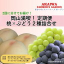 【ふるさと納税】桃 ぶどう 2024年 先行予約 岡山満喫！ 清水 白桃 約2.0kg 6～8玉 ぶとう 2種 詰合せ 2回に分けてお届け! 　【定期便・ 果物 】　お届け：2024年7月中旬～2024年10月上旬