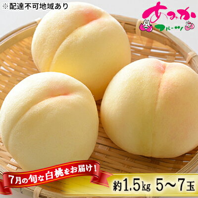 【ふるさと納税】桃 2026年 先行予約 7月の旬な 白桃 をお届け!約1.5kg 5~7玉 もも モモ 岡山県 赤磐市産 国産 フルーツ 果物 ギフト あみかフルーツ 岡山の桃 旬のフルーツ 柔らかい ジューシー 産地直送 旬の桃 お届け:2026年7月上旬~2026年7月下旬