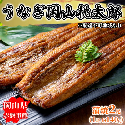 【ふるさと納税】うなぎ 岡山 桃太郎 蒲焼 2尾（1尾 約140g）　【 鰻の蒲焼 和食 和 魚料理 一品料理 つまみ お酒のあて 肴 さっぱり 国産 日本産 国産ウナギ 食材 食べ物 鰻丼 】