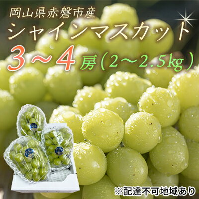 【ふるさと納税】ぶどう 2026年 先行予約 シャイン マスカット 3~4房 約2.0~2.5kg 秀品 ブドウ 葡萄 岡山 赤磐市産 国産 フルーツ 果物 ギフト 果物類 デザート 食後 産地直送 大房 甘い 種なし 皮ごと 大粒 お届け:2026年9月下旬~2026年10月中旬