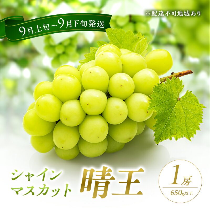 【ふるさと納税】ぶどう 2026年 先行予約 シャイン マスカット 晴王 1房 650g以上 2026年9月上旬~9月下旬発送分 ブドウ 葡萄 岡山県 赤磐市産 国産 フルーツ 果物 ギフト 赤坂青空市 種無し お届け:2026年9月上旬~2026年9月下旬