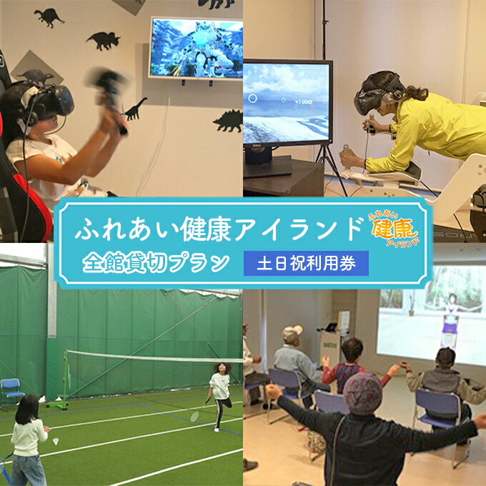 チケット ふれあい健康アイランド 全館 貸切 プラン 土日祝 利用券　【 健康維持 運動施設 VR 人工芝コート カラオケ 遊び 運動 施設貸切 使い放題 家族連れ ファミリー 】