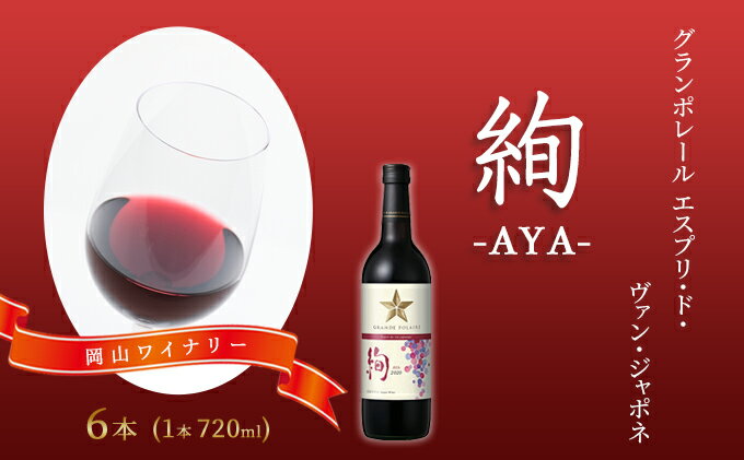 【ふるさと納税】ワイン グランポレール エスプリ・ド・ヴァン・ジャポネ 絢 -AYA- 6本（1本 720ml）赤ワイン ライトボディ サッポロビール 岡山ワイナリー　【 お酒 国産ワイン 果実香 酸味 程よい熟成感 タンニン 】