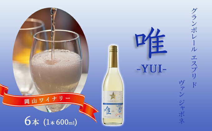 【ふるさと納税】ワイン グランポレール エスプリ ド ヴァン ジャポネ 唯-YUI- 6本（1本 600ml）スパークリングワイン 中辛口 サッポロビール 岡山ワイナリー　【 お酒 爽やかな酸味 やや辛口 飲みやすい 微発泡 】