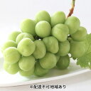 【ふるさと納税】早期受付 シャイン マスカット 2房(1房650g以上) 桃茂実苑  お届け:2025年10月下旬~2026年1月下旬