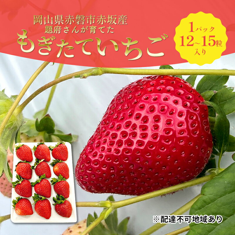 いちご 2025年 先行予約 題府さんが育てた もぎたていちご 1パック 12〜15粒入り 岡山県 赤磐市 赤坂産 イチゴ 苺 果物 フルーツ [赤磐市] お届け:2025年1月上旬〜2025年2月下旬