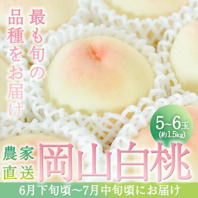 桃 2024年 先行予約 旬 の 白桃 5～6玉入り 約1.5kg 贈答用 もも モモ 岡山県 赤磐市産 国産 フルーツ 果物 ギフト　【赤磐市】　お届け：2024年6月下旬～2024年7月中旬