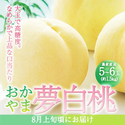 【ふるさと納税】桃 2024年 先行予約 おかやま 夢 白桃 5～6玉入り(約1.5kg) 贈答用 もも モモ 岡山県 赤磐市産 国産 フルーツ 果物 ギ..