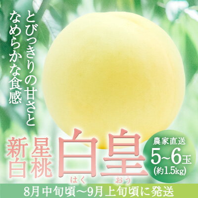 【ふるさと納税】固めの 桃 2024年 先行予約 白桃 白皇 (はくおう) 5～6玉入り(約1.5kg) 贈答用 もも モモ 岡山県 赤磐市産 国産 フルーツ 果物 ギフト　【果物・もも・桃・フルーツ】　お届け：2024年8月中旬～2024年9月上旬 1