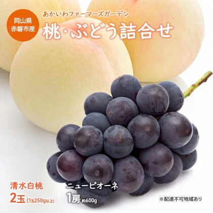 桃 ぶどう 詰合せ 2024年 先行予約 清水 白桃 2玉（1玉250g以上） ニュー ピオーネ 1房 約600g 岡山県 赤磐市産 フルーツ 果物 あかいわファーマーズガーデン　【赤磐市】　お届け：2024年7月中旬～2024年8月上旬