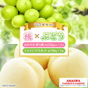 【ふるさと納税】桃 ぶどう 詰合せ 2025年 先行予約 おかやま 夢 白桃 2玉(1玉250g以上) シャイン マスカット 1房 約700g 岡山県 赤磐市産...