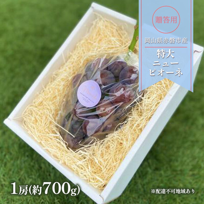 【ふるさと納税】ぶどう 2025年 先行予約 贈答用 特大 ニューピオーネ 1房(約700g) ブドウ 葡萄 岡山県 赤磐市産 フルーツ 果物 ギフト お届け:2025年8月中旬~2025年9月中旬