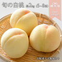 【ふるさと納税】桃 2025年 先行予約 晴れの国 贈答用 旬の白桃 約2kg(5〜8玉) もも モモ 岡山県 国産 フルーツ 果物 ギフト お届け:2025...