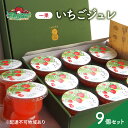【ふるさと納税】フルーツジュレ 一果 いちご 9個 セット フルーツ 紅ほっぺ 農マル園芸 あかいわ農園 岡山