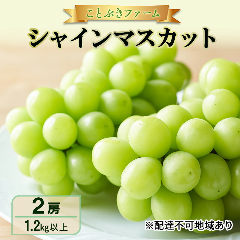 【ふるさと納税】ぶどう 2026年 先行予約 シャインマスカット 満足 2房入り 1.2kg以上 岡山県 赤磐市 ブドウ 葡萄 果物 フルーツ お届け:2026年9月末~2026年10月中旬