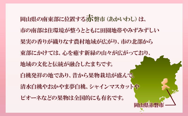 【ふるさと納税】【返礼品なしの寄附】岡山県 赤磐市（1口：3,000円） f332135-akaiwa-10000994 岡山県赤磐市 サンプル画像2