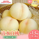 【ふるさと納税】桃 2025年 先行予約 清水 白桃 約1.5kg 5〜6玉 もも 岡山県 赤磐市産 フルーツ 果物 あかいわファーマーズガーデン お届け:20...