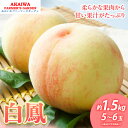 【ふるさと納税】桃 2025年 先行予約 白桃 白鳳 約1.5kg 5〜6玉 もも 岡山県 赤磐市産 フルーツ 果物 あかいわファーマーズガーデン お届け:20...