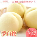 【ふるさと納税】桃 2025年 先行予約 おかやま夢白桃 約1.5kg 5〜6玉 もも 岡山県 赤磐市産 フルーツ 果物 あかいわファーマーズガーデン お届け:...