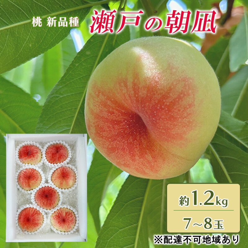 桃 2026年 先行予約 瀬戸の朝凪 KU-PP1 約1.2kg 7〜8玉 新品種 モモ もも フルーツ 果物 岡山 赤磐市産 お届け:2026年6月中旬〜2026年7月上旬