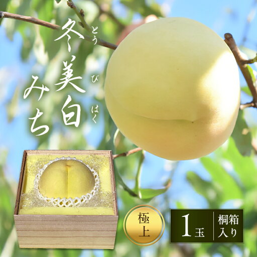 【ふるさと納税】桃 2025年 先行予約 白桃 冬美白 とうびはく 極上1玉 「みち」 桐箱入り もも モモ 令和7年 岡山 赤磐市産 国産 フルーツ 果物 ギフト 果肉 しっかり 柔らかい 食感 大変貴重 高糖度 栽培方法 お届け:2025年10月中旬~2025年11月中旬 【ふるさと納税】桃 2025年 先行予約 白桃 冬美白 とうびはく 極上1玉 「みち」 桐箱入り もも モモ 令和7年 岡山 赤磐市産 国産 フルーツ 果物 ギフト 果肉 しっかり 柔らかい 食感 大変貴重 高糖度 栽培方法 お届け:2025年10月中旬~2025年11月中旬