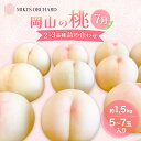 【ふるさと納税】桃 【訳あり 2級品】 2026年 先行予約 岡山の桃 7月の桃 2~3品種 詰め合わせ セット 5~7玉入り 約1.5kg MIKI’S ORCHARD もも モモ 果物 岡山 家庭用 お届け:2026年7月1日~2026年7月31日