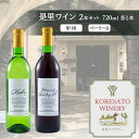 【ふるさと納税】是里 ワイン 果実酒 甲州 ベーリーA 720ml 各1本 岡山 赤磐市 お酒