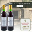【ふるさと納税】是里 ワイン 果実酒 ベーリーA 720ml 2本 岡山 赤磐市 お酒