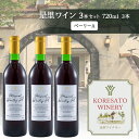 【ふるさと納税】是里 ワイン 果実酒 ベーリーA 720ml 3本 岡山 赤磐市 お酒