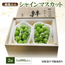 【ふるさと納税】ぶどう 2025年 先行予約 シャインマスカット(特秀) 2房 1房800g以上 桐箱入り 備州の国 絆 慶祥苑 贈り物 贈答 のし対応 岡山県...