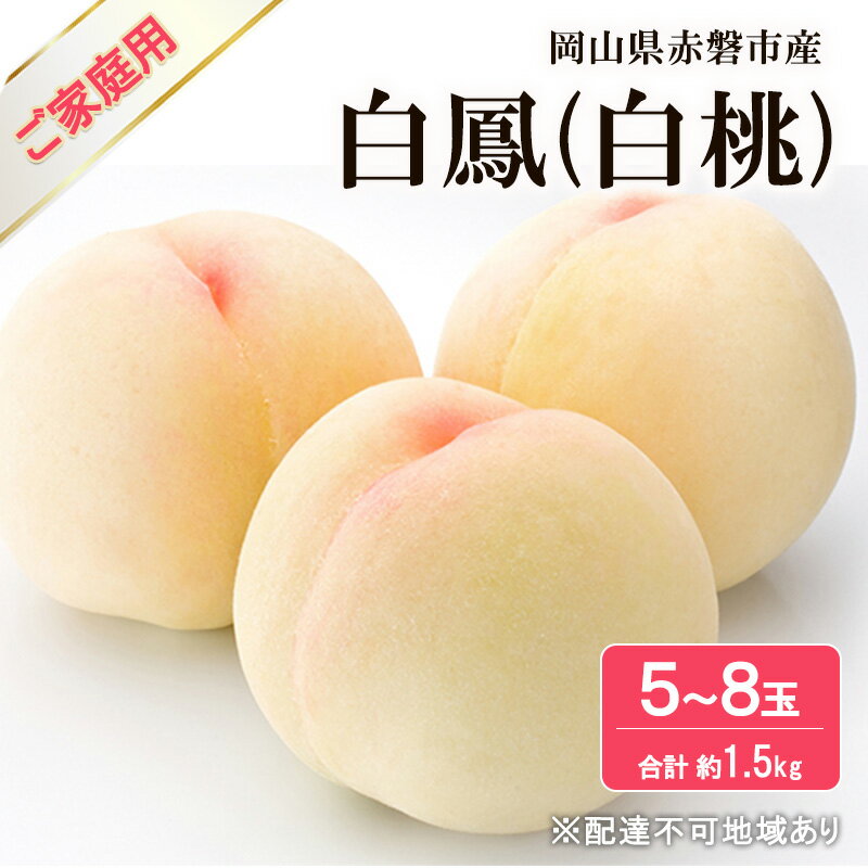 【ふるさと納税】桃2026年先行予...