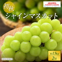 【ふるさと納税】ぶどう 2026年 先行予約 シャインマスカット 約1.5kg 2房 初秋 葡萄 岡山県 赤磐市産 フルーツ 果物 あかいわファーマーズガーデン 果物類 お届け:2026年8月下旬~2026年9月上旬