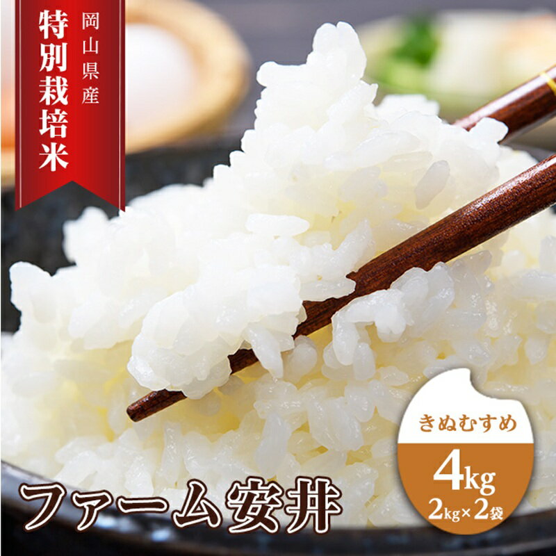お米 [2025年11月〜発送予定] 特別栽培米 きぬむすめ 4kg (2kg×2袋) 米 白米 岡山県産 ファーム安井 精米 ライス ご飯 おにぎり お弁当 和食 主食 国産 炭水化物 直送 産地直送 粘り強い ふっくら 柔らかい お届け:2025年11月上旬〜2026年4月下旬