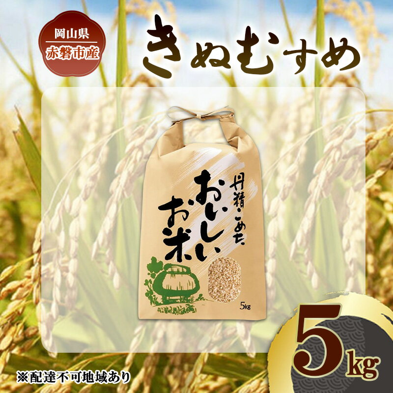 令和7年 きぬむすめ 玄米 5kg 晴れの国 岡山県産 米 お米 コメ おこめ 岡山 赤磐市