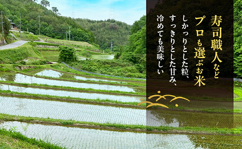 【ふるさと納税】先行受付 農薬不使用 白米 ホタル舞う里山の棚田米 精米10kg 令和8年産 朝日2kg×5袋　お届け：2026年10月20日～2027年4月14日 f332135-akaiwa-10001358 岡山県赤磐市 サンプル画像3