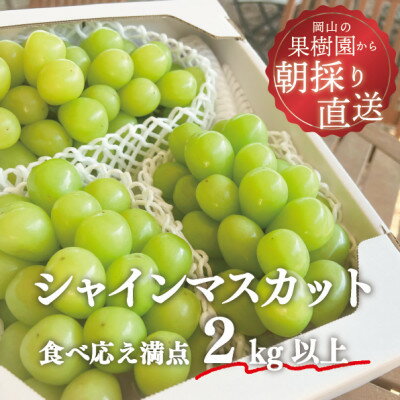 【ふるさと納税】岡山県産 きよとう自慢のシャインマスカット 3-5房入/計2.0kg～【配送不可地域：離島...