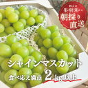 【ふるさと納税】岡山県産 きよとう自慢のシャインマスカット 3-5房入/計2.0kg～【配送不可地域：離島】【1299578】 その1