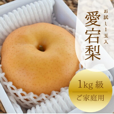 19位! 口コミ数「0件」評価「0」岡山県産 ご家庭用愛宕梨 ご家庭用 1玉/1kg～【1370227】