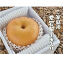 【ふるさと納税】岡山県産 ご家庭用愛宕梨 ご家庭用 1玉/1kg～【1370227】