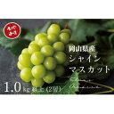 【ふるさと納税】【2024年先行予約】　厳選　岡山県産　シャインマスカット　計1.0kg以上　2房　産直・朝採れ【配送不可地域：離島・沖縄県】【1394533】