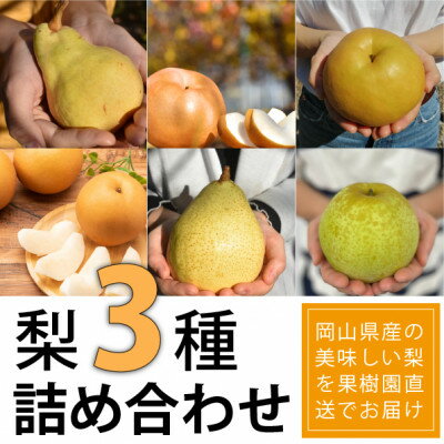 【ふるさと納税】岡山県産 梨好きに贈る、旬の梨3種詰め合わせ