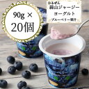 【ふるさと納税】蒜山ジャージーヨーグルト ブルーベリー果汁20個【配送不可地域:離島】【1398444】